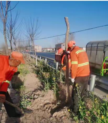 封丘县公路管理局——抢抓春季有利时节，提升路域环境