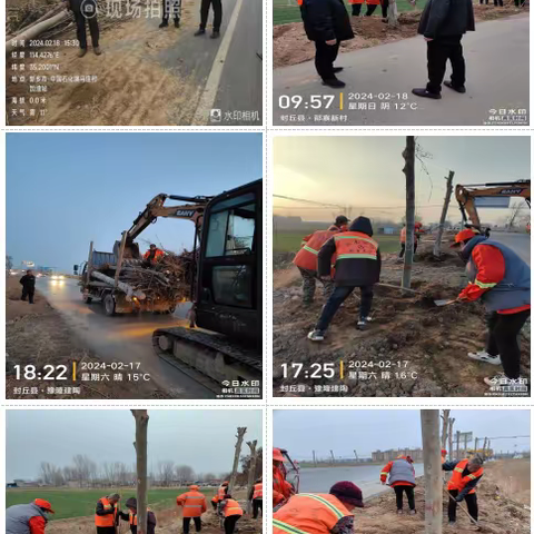 封丘县公路事业发展中心 项目实施早筹备   路树移栽已先行