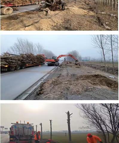 封丘县公路事业发展中心 植树护绿迎春风  美化环境正当时