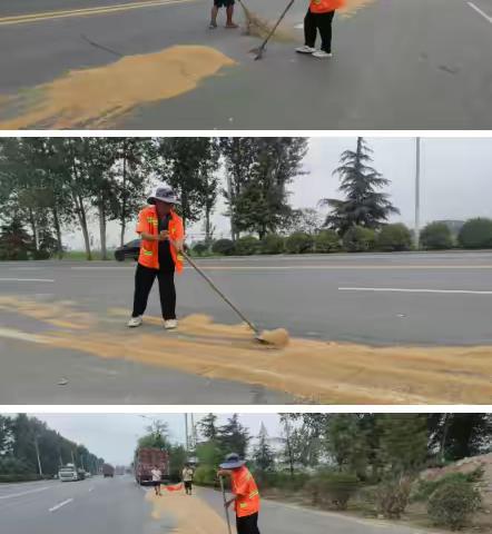 小麦洒落满地  道班职工排忧解难见真情