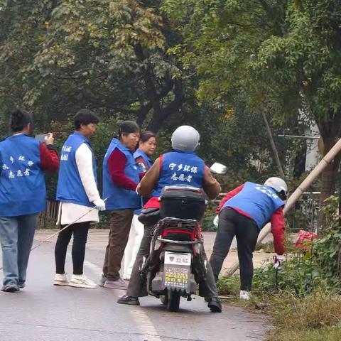 人居环境大清扫 --道林篇