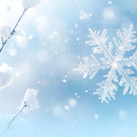 雪前准备 筑牢城市冬日保障线