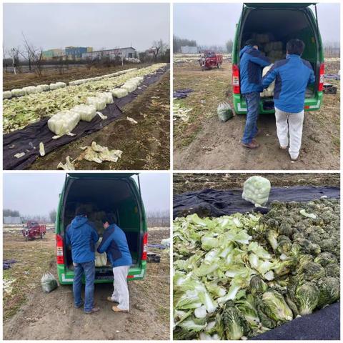 长安供销蔬菜直通车，帮助菜农解决滞销蔬菜