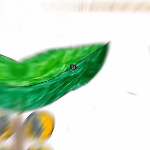 与蚕相遇