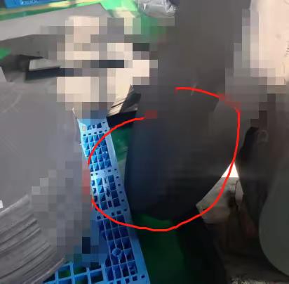7S检查记录 3.31