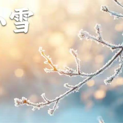 大刘小学“二十四节气”系列活动之 “小雪物华・农品身份绘”