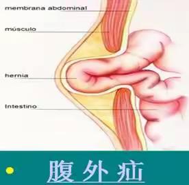 技术精湛便百姓 医风优良暖人心