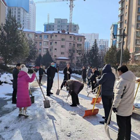 颐龙湾小区党员 除雪纪实