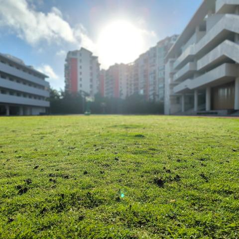 精诚协作 群策群力 --海口寰岛中学数学大教研纪实