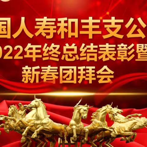 中国人寿和丰县支公司年终总结会