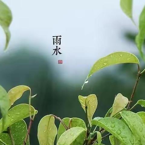 好雨时节 润物无声——开封市马头幼儿园二十四节气之雨水