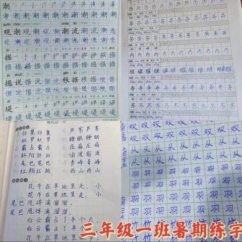 书香润韶华 墨韵舞流光——费县鲁公小学三年级暑假读书写字活动