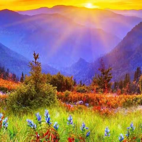 科学防控近视，呵护“心灵之窗”