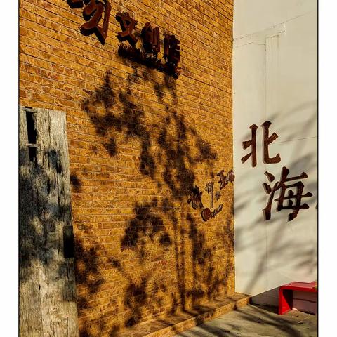 乐乐的文章