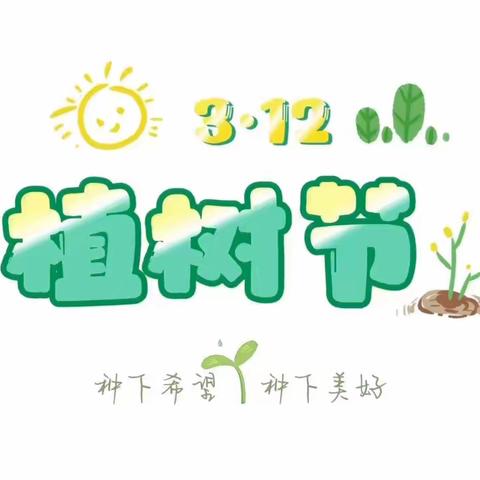 波斯菊小一