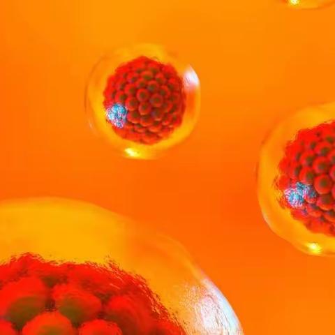 ▏干细胞类型最全科普，看这一篇就够了！详细解读干细胞分类、功效和安全性