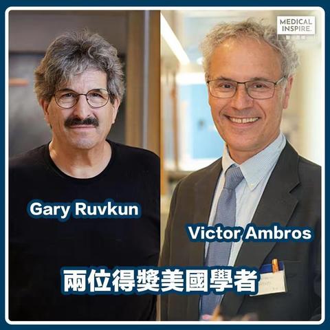 揭秘两位科学家背后的故事：如何通过微小RNA破解生命密码，赢得2024年诺贝尔生理学或医学奖