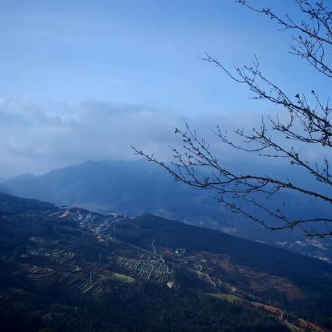 雪落三月，邂逅春日里的惊鸿