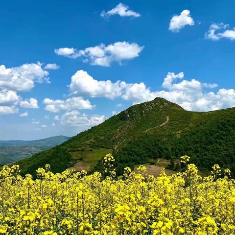 奋进新征程 建功新时代｜康乐县每日工作剪影之1554（2023.11.22）