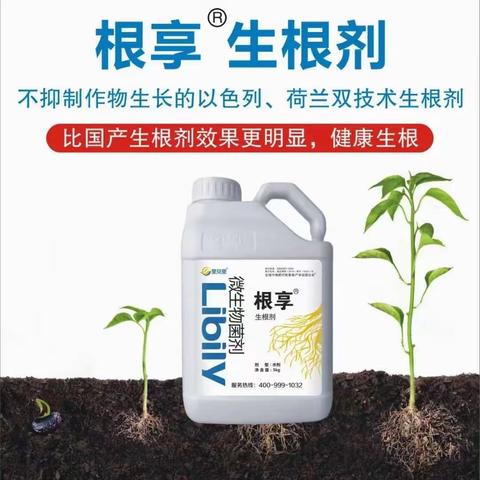 爆根生根的方法