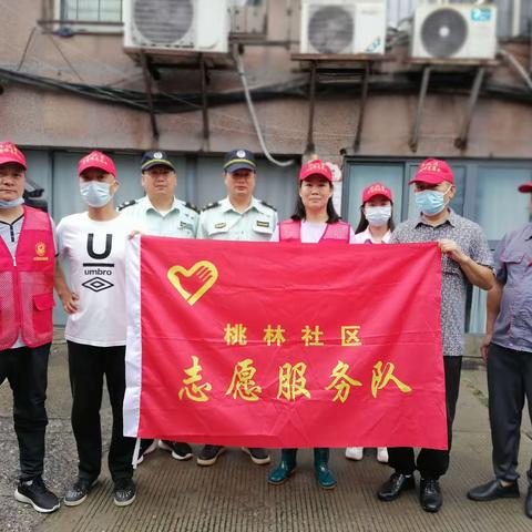 楼顶种菜扰民      多方协同整治