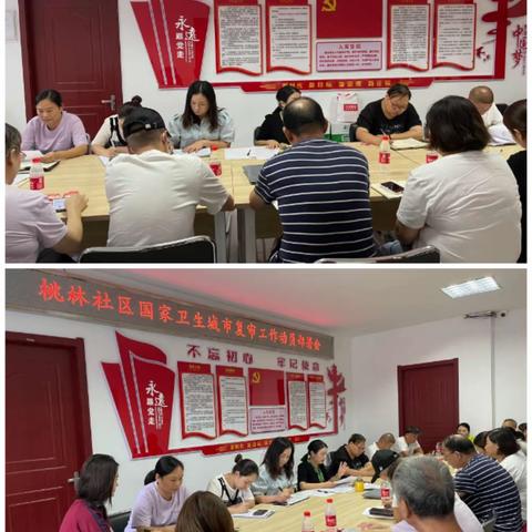 桃林社区创卫复审工作周简报