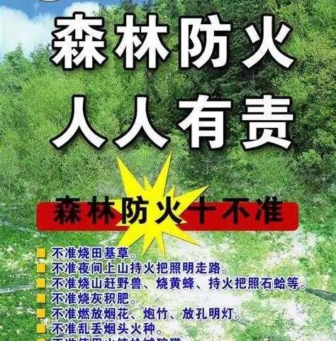 森林防火 有你有我——孤山子小学森林防火入户宣传活动