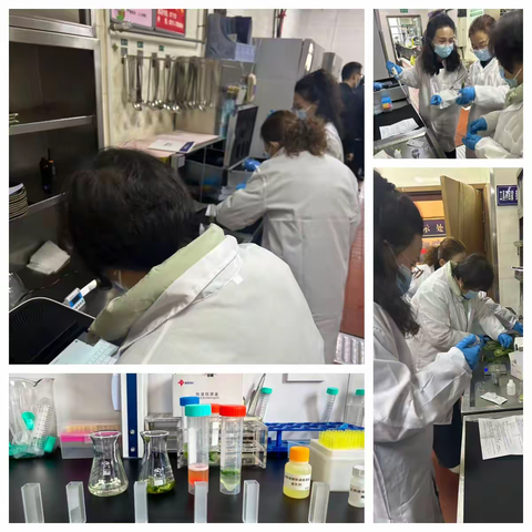 吴起县食品质量安全检验检测站 筑牢食品安全防线 保障两会餐饮安全