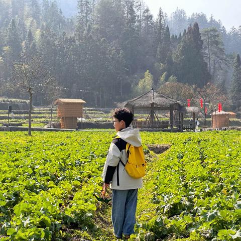 小倪同学的寒假生活｜旅行篇