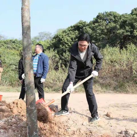 公明街道人大工委组织辖区人大代表参加义务植树活动并听取公明街道综合发展规划汇报