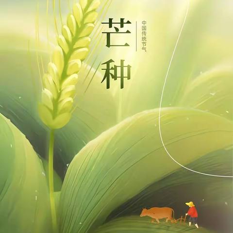 【紫税清廉之声】节气与节日话廉——芒种