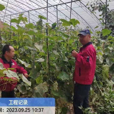 黄南州农检中心开展“中秋、国庆”期间农产品质量安全专项抽检工作