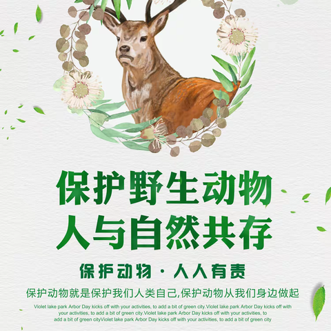 新林林业局新林林场开展冬季野生动物保护专项行动