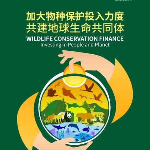 新林林业局新林林场开展2025年世界野生动植物日宣传活动
