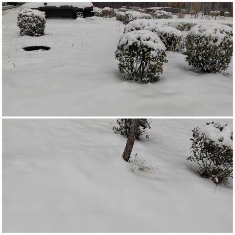 风雪弥漫时 物业扫雪忙