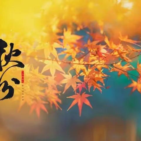 荣成环卫物业公司 🦺十里香河小区🦺 🏡周工作回顾🏡