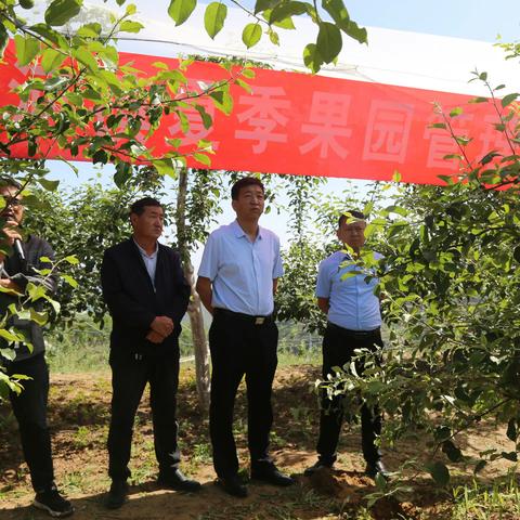 杏河镇召开夏季果园管理现场培训会