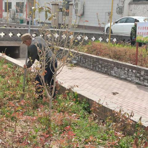 乡村行 看振兴｜植树添新绿，和美乡村“靓”起来