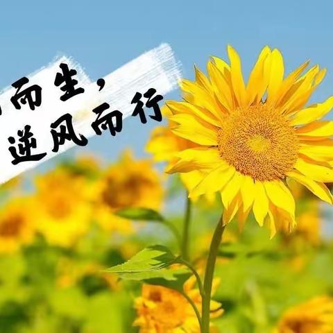 减负不减乐，双减在行动