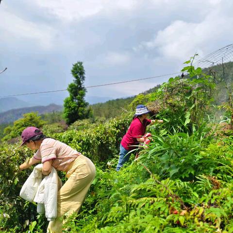 五一快乐三人行