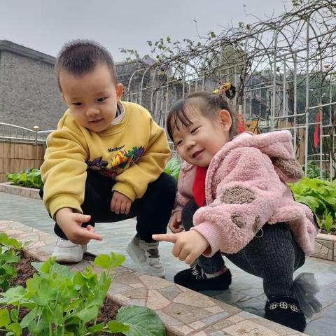 曹大霞霞的简篇