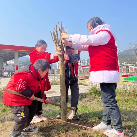 “心植希望·共建多彩崇义”崇义县文英中心小学开展植树添绿活动