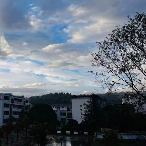 🌱春假好时光，劳动最光荣——我校学生春假家庭劳动风采展