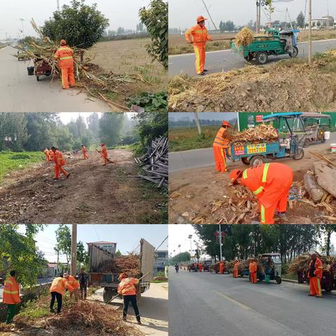 小店镇开展秋收后人居环境整治工作