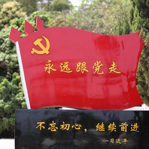 开元社区党委三月份主题党日活动