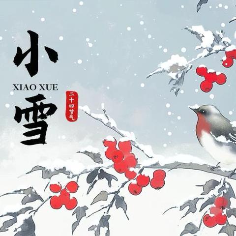 【二十四节气】岁至小雪 天地苍茫——“小雪”节气德育实践活动
