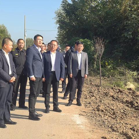 李立峰副区长调研黄良街办聂河村水体治理和污水处理站运行情况