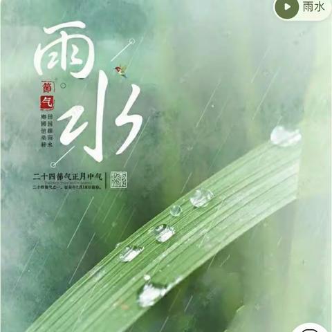 【雨水时节，润物无声】金御雅园幼儿园