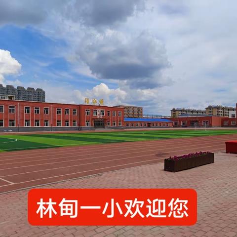 相遇美好·共向未来|林甸县第一小学2023届招生简章、一年级教师风采展示