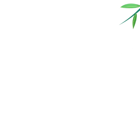 刘集镇中心小学：研学助力双减   实践丰盈素养